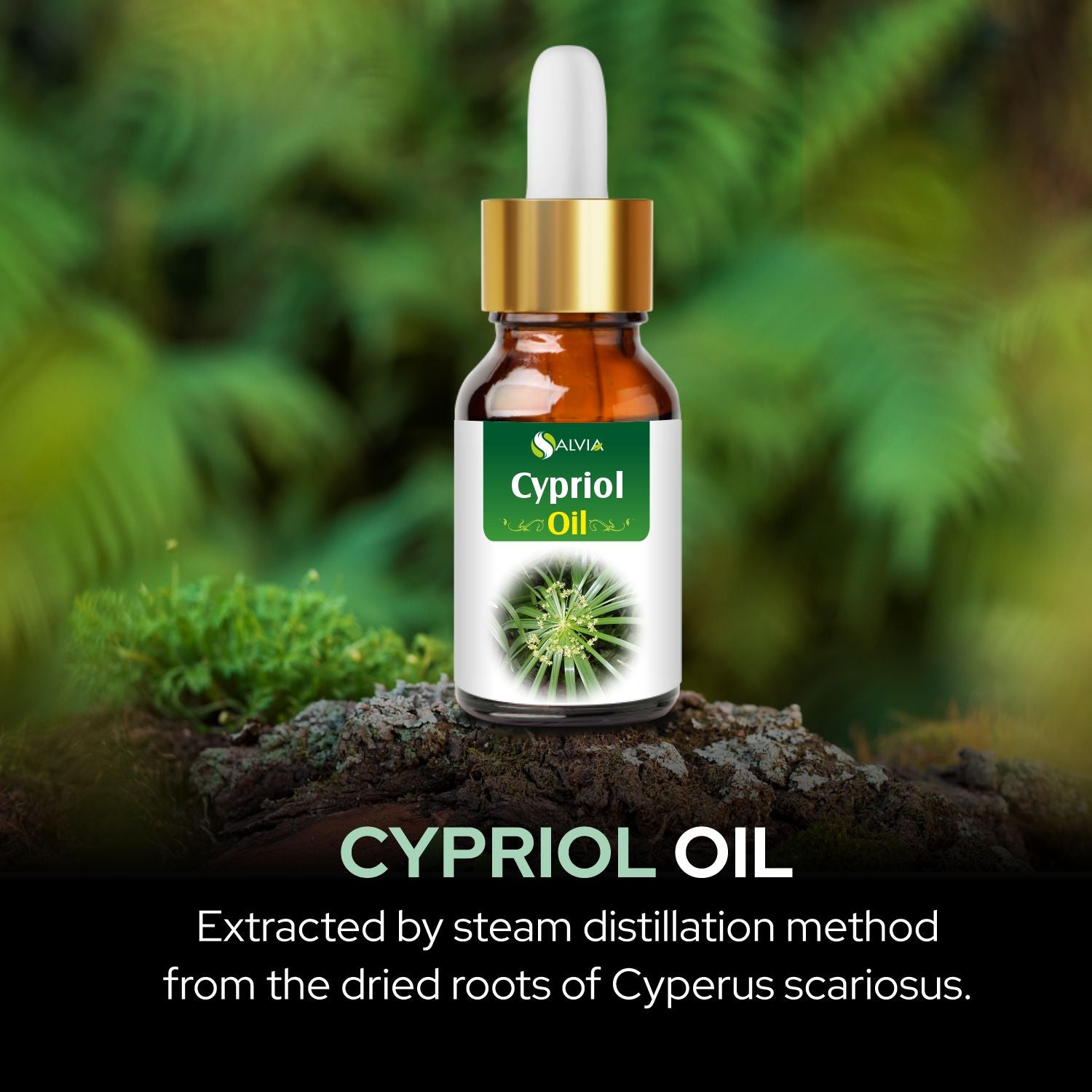 Salvia Natural Essential Oils,Dandruff,Greasy Oil,Anti Fungal,Anti-fungal Oil,Oil for Greasy Hair Cyprioil Oil Salvia Natural Essential Oils,Dandruff,Greasy Oil,Anti Fungal,Anti-fungal Oil,Oil for Greasy Hair Cyprioil Oil